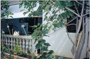 Privatan smeštaj Vrsi-Mulo 3